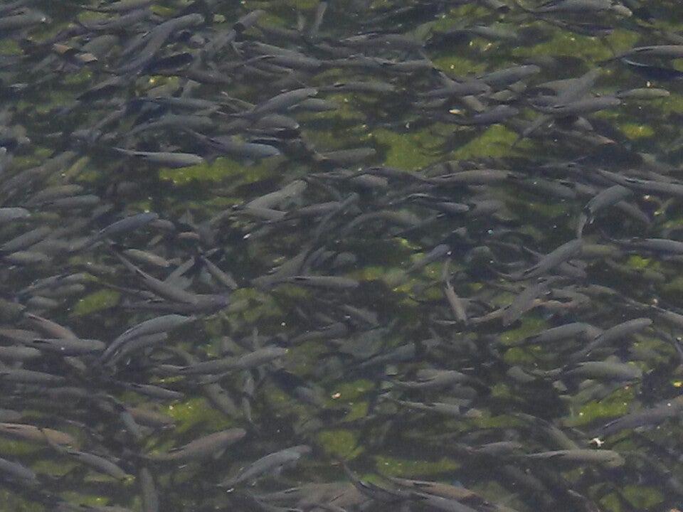 La Grange, CA Map & Directions MapQuest