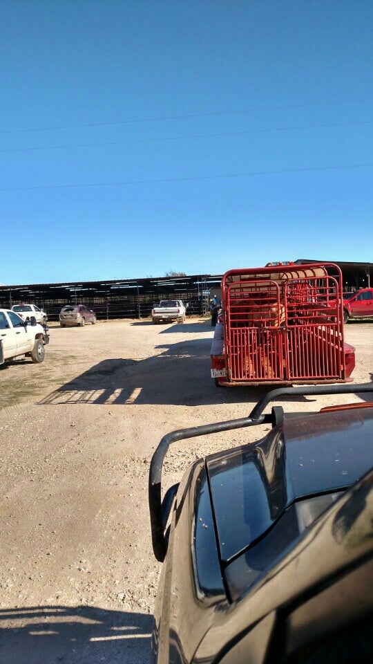 Milam County Livestock Auction, 2605 Auction Barn Rd, Cameron, TX