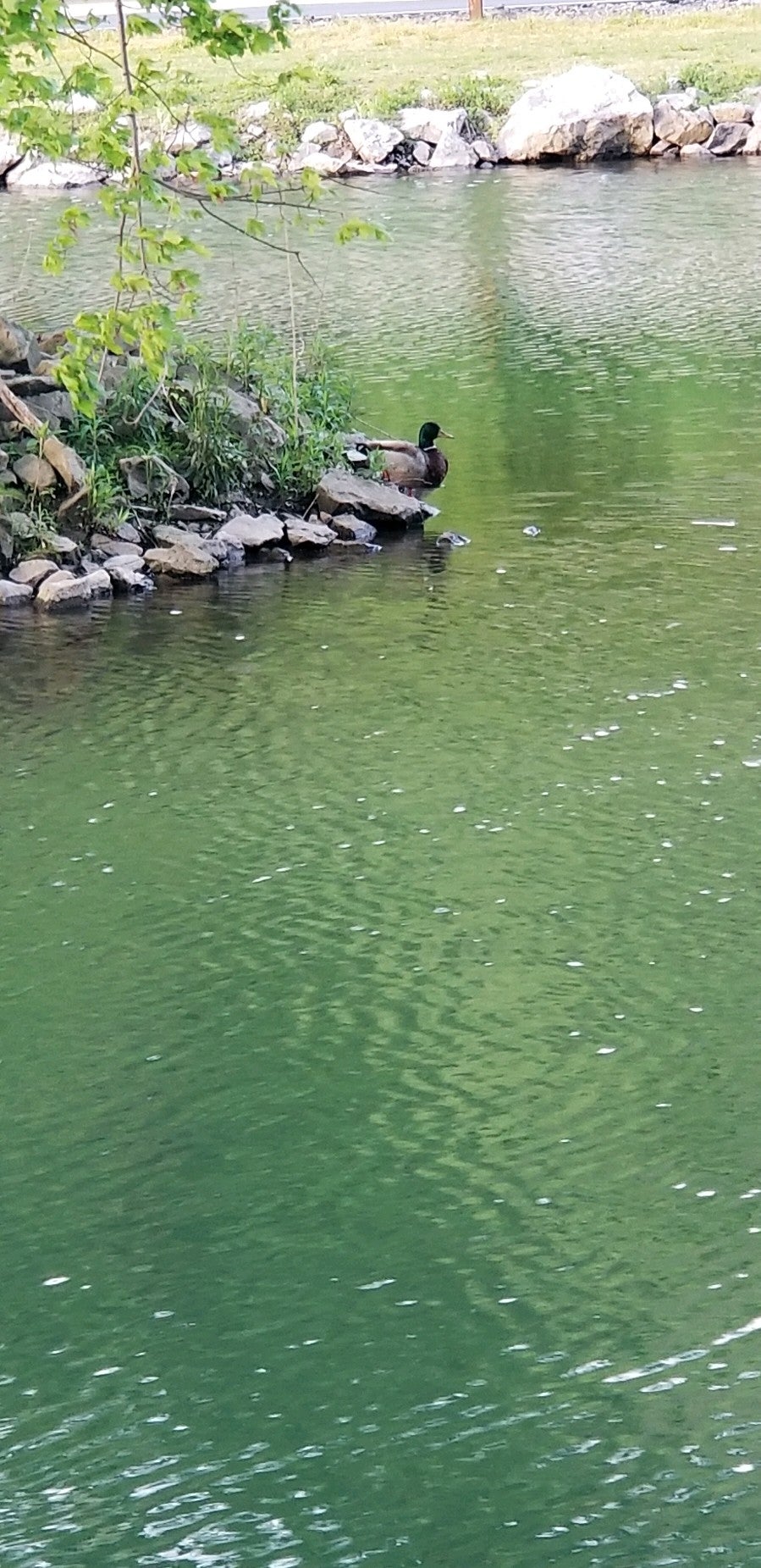 Bullfrog Valley Park & Trail, Hershey, PA, Parks MapQuest