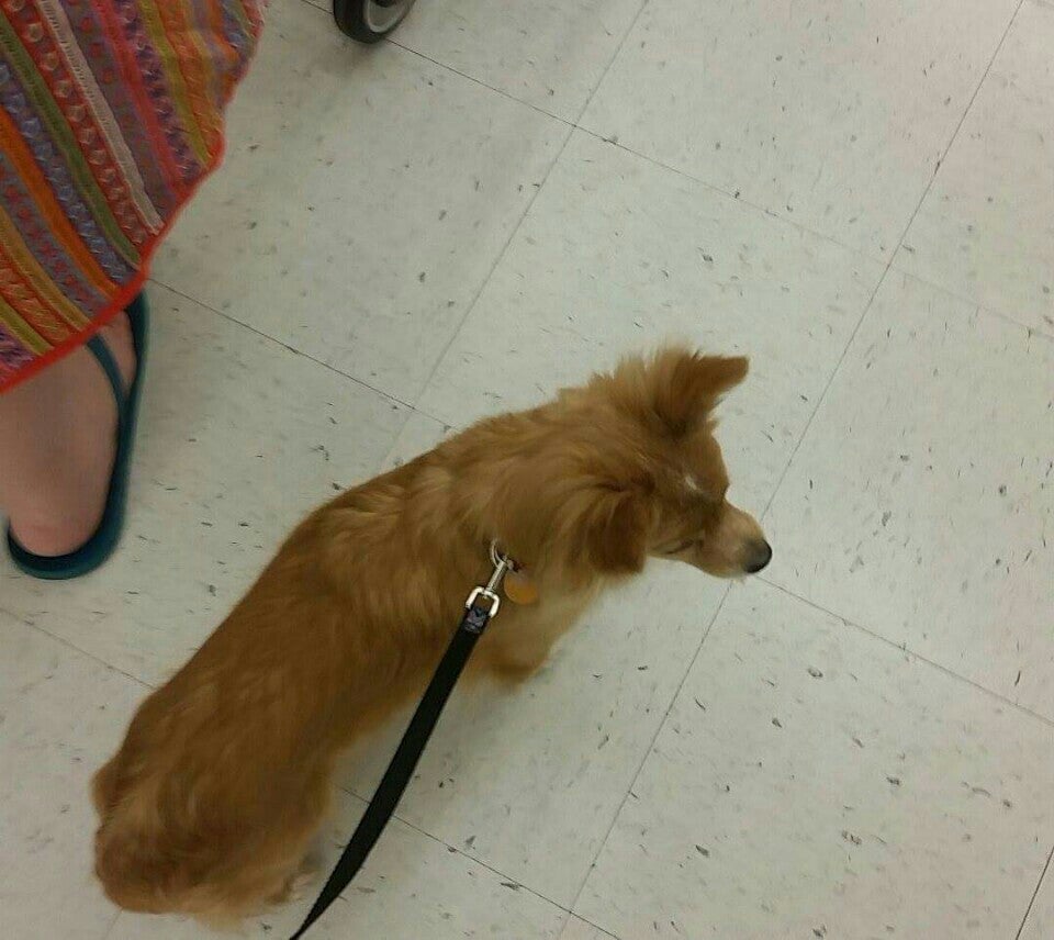 Hobby Lobby, 2711 Crossroads Blvd, Waterloo, IA, Arts & Crafts Supplies