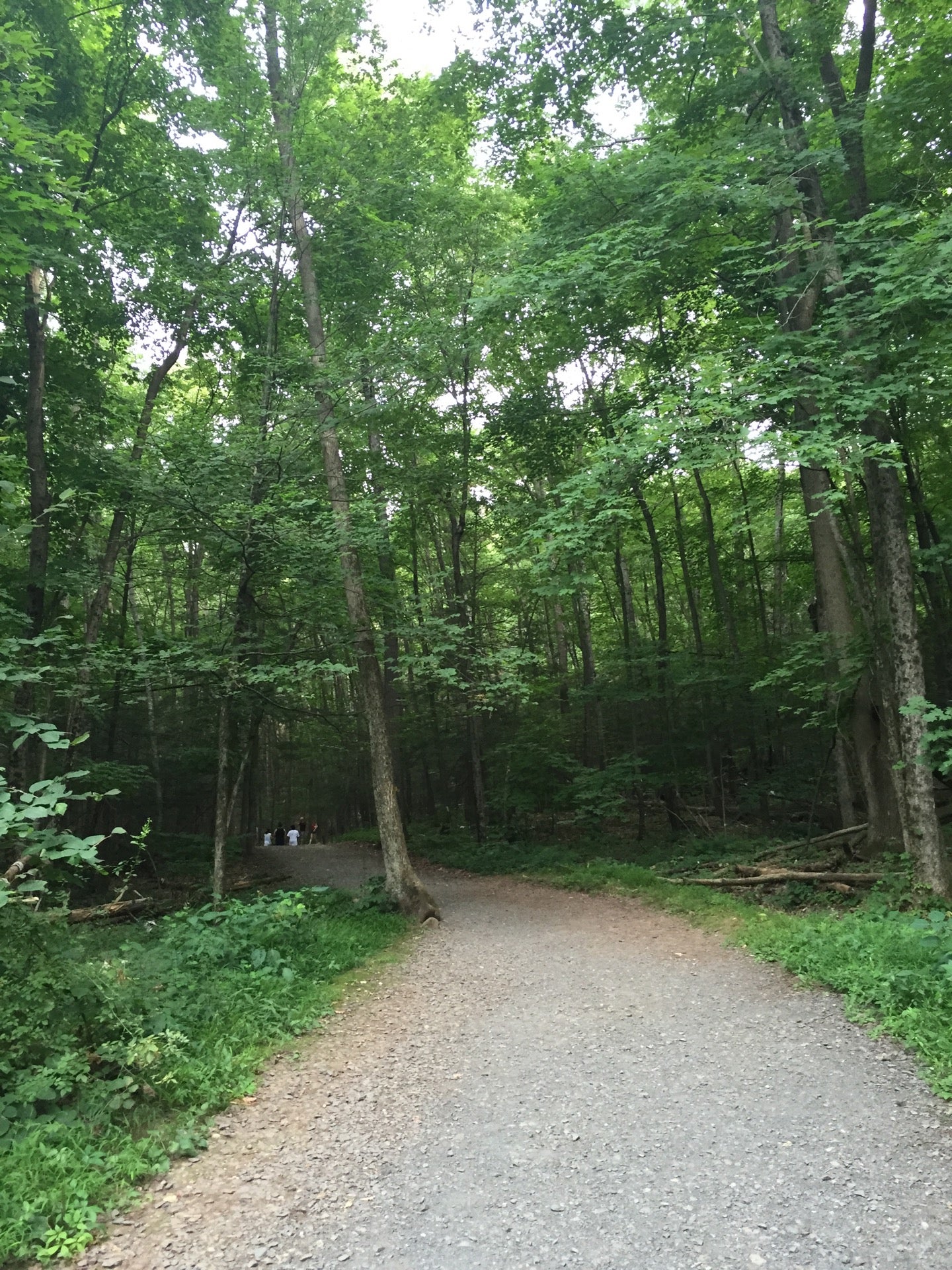 Penwood State Park, 57 Gun Mill Rd, Bloomfield, CT, Parks MapQuest