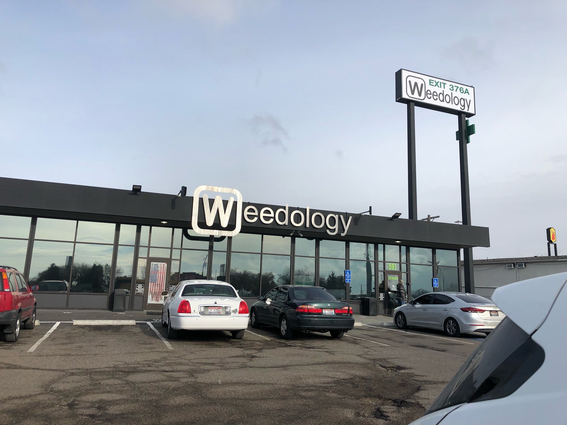 Weedology Fake Id Ontario