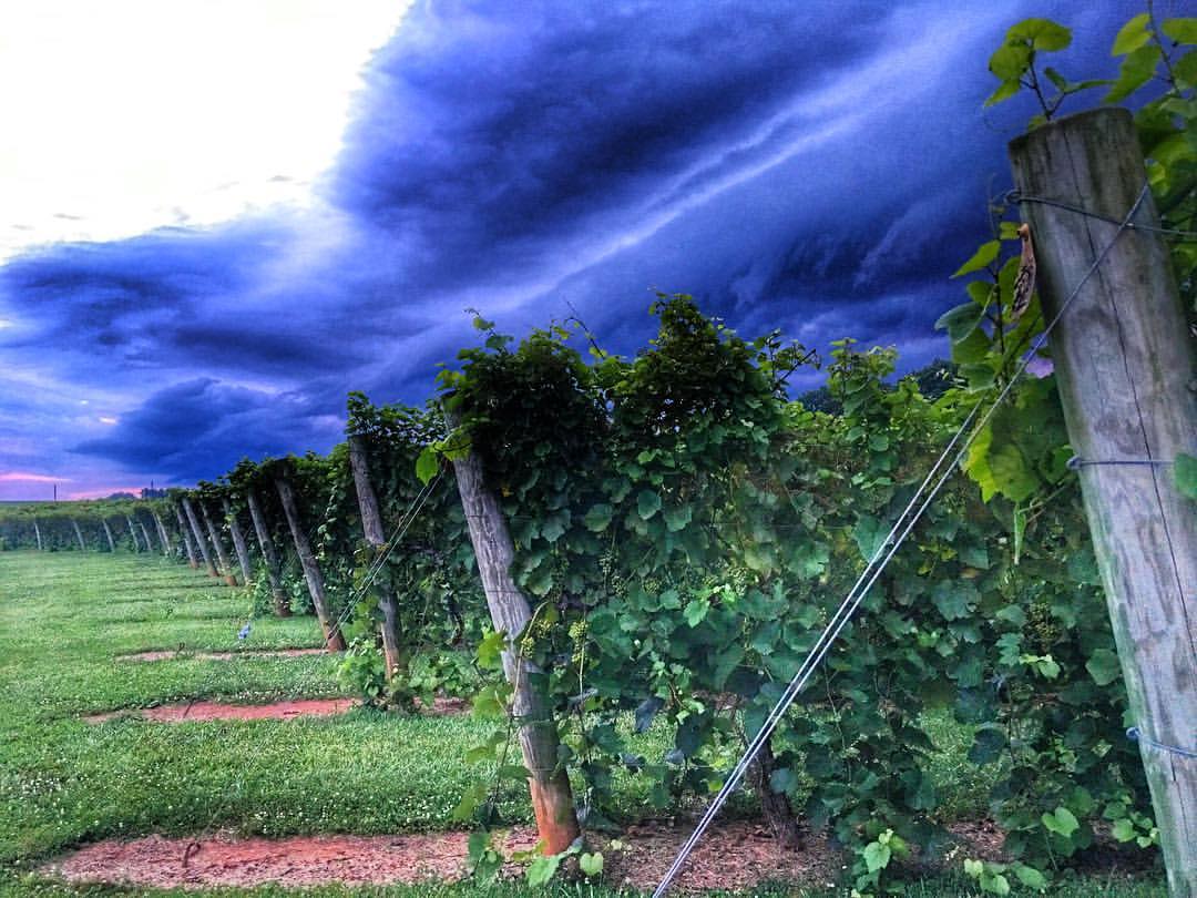 Gretna, VA Map & Directions MapQuest