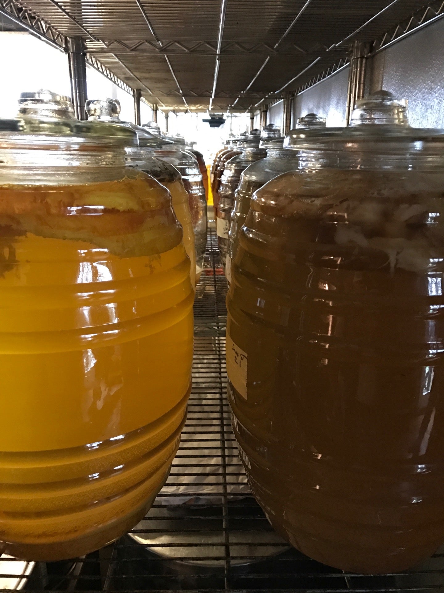 The Cultured Pickle Shop, 800 Bancroft Way, Berkeley, CA, Grocery