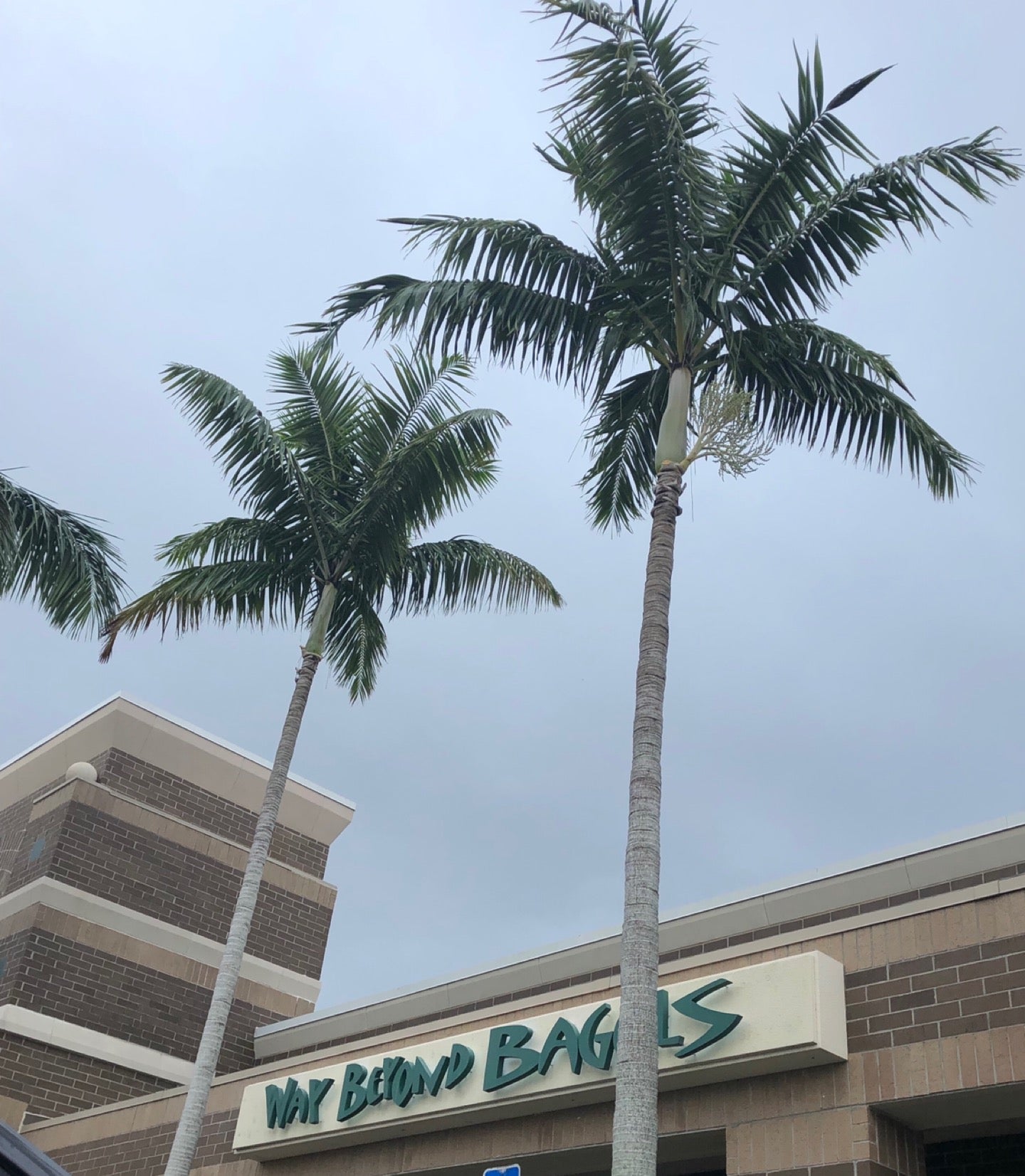 Palm Beach Bagel and Bakery, 9858 Clint Moore Rd, Ste 122, Boca Raton