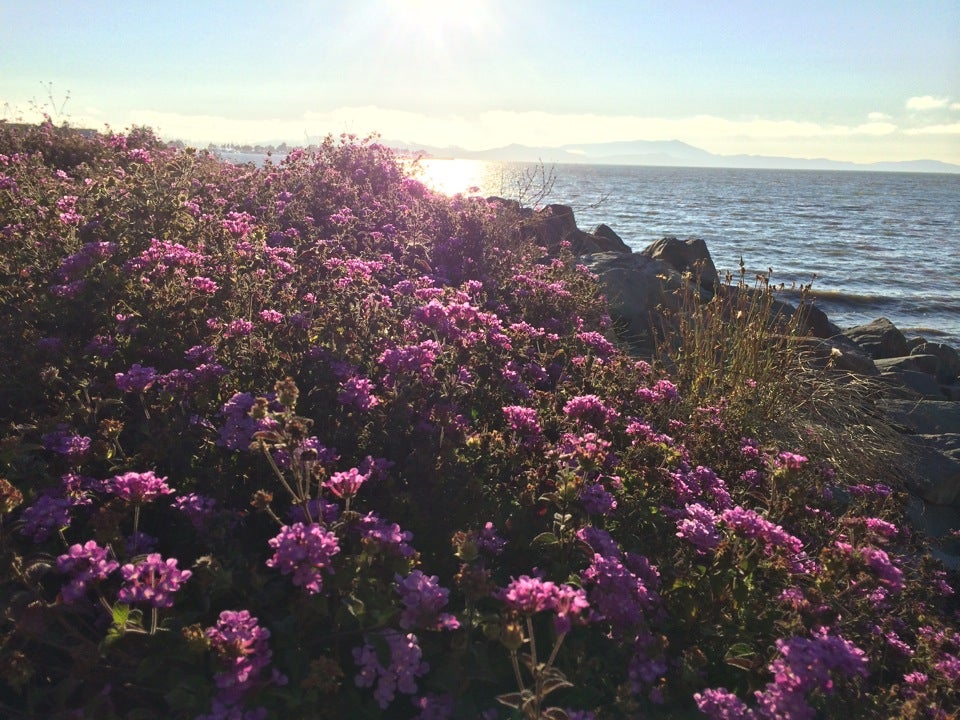 Emeryville, CA Map & Directions MapQuest