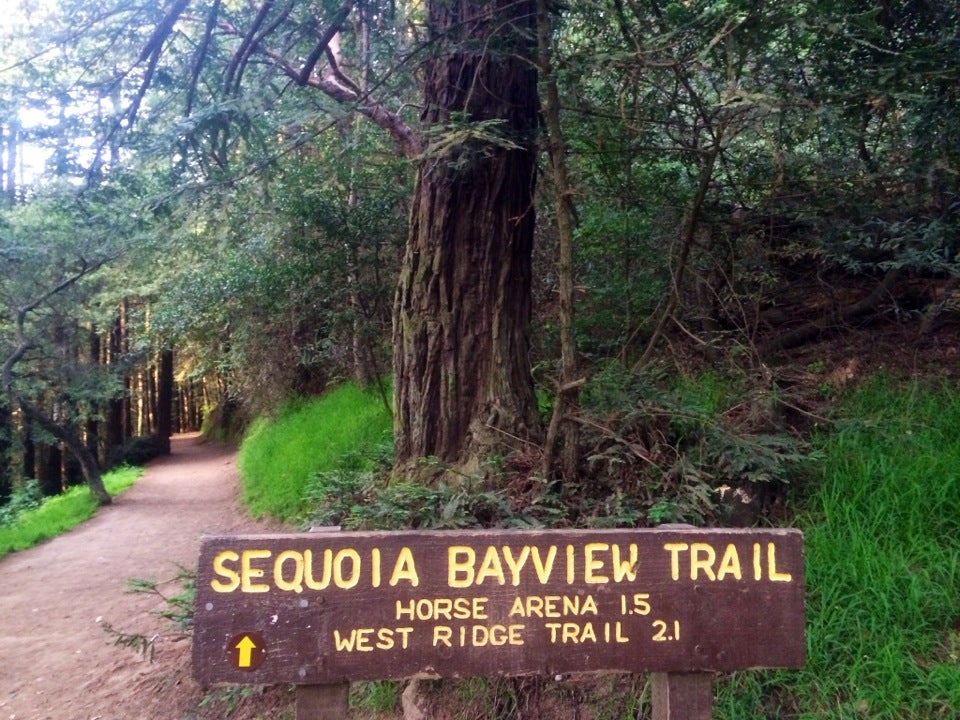 Sequoia clearance bayview trail