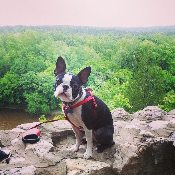 Raven Rock State Park, 3009 Raven Rock Rd, Lillington, NC, Trail MapQuest