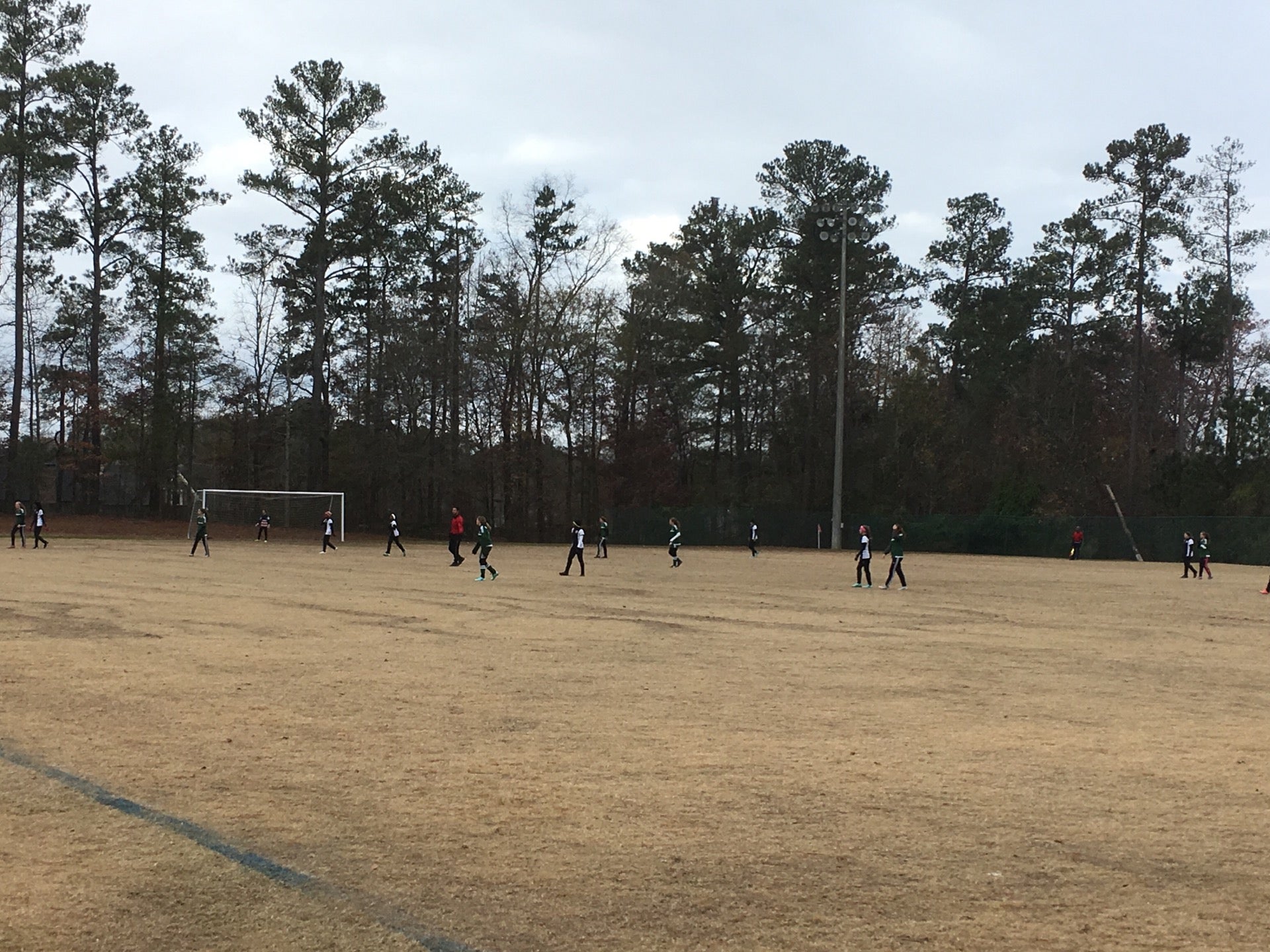 Mccurry Park: Fayetteville’s Adventure And Relaxation Destination