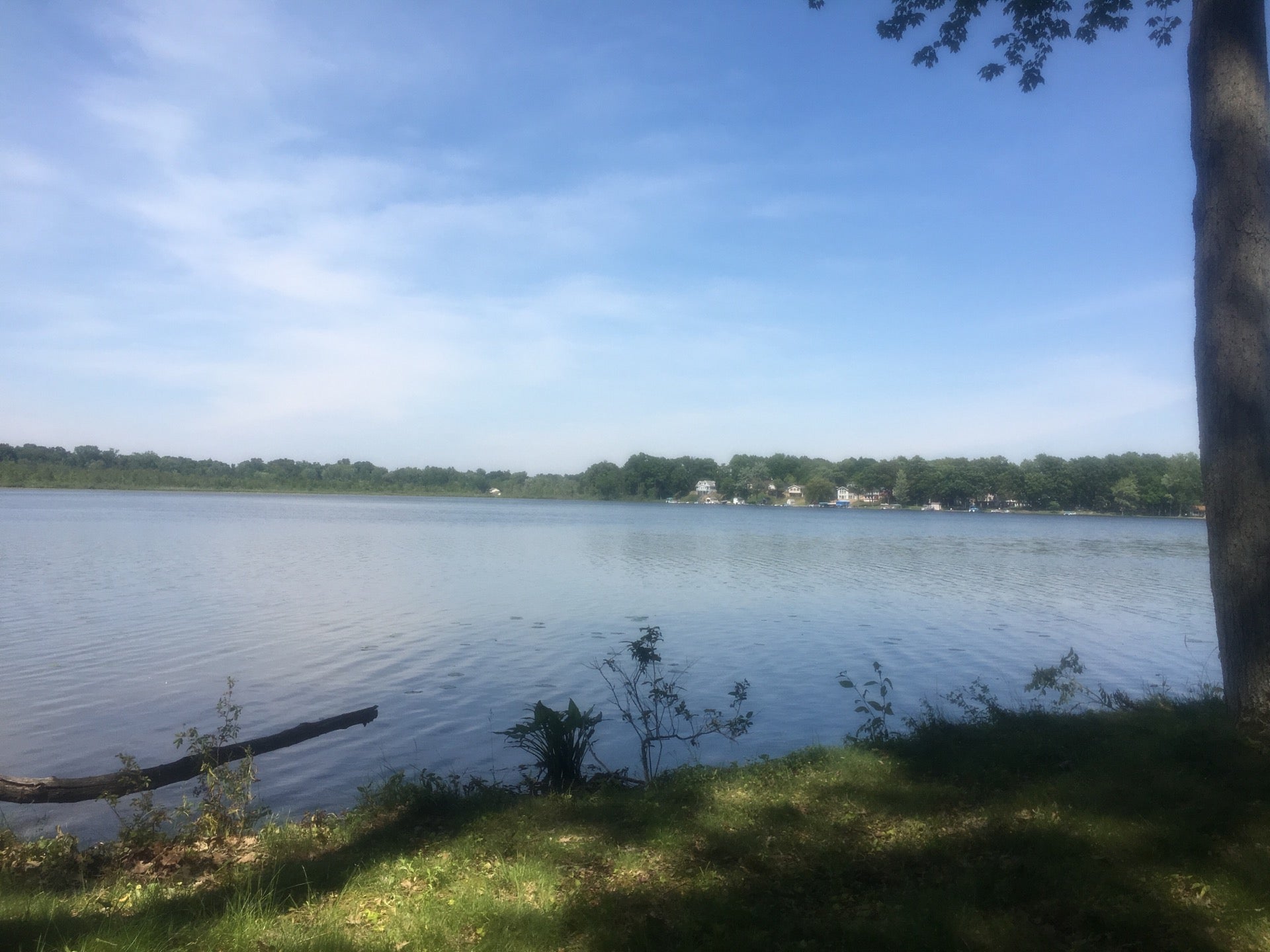 Pupsicle 500 on Wamplers Lake