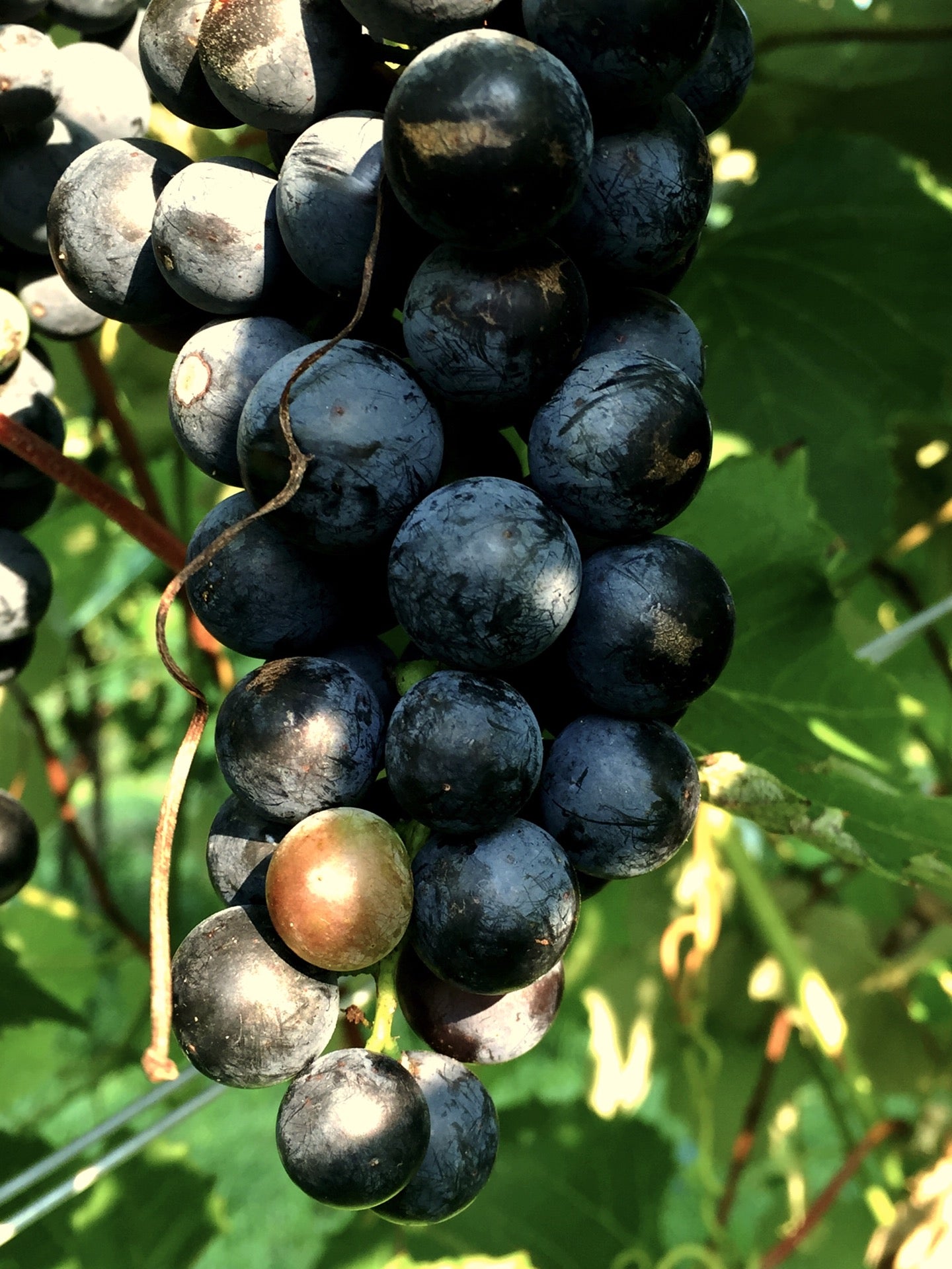 Holstein, IA Map & Directions MapQuest