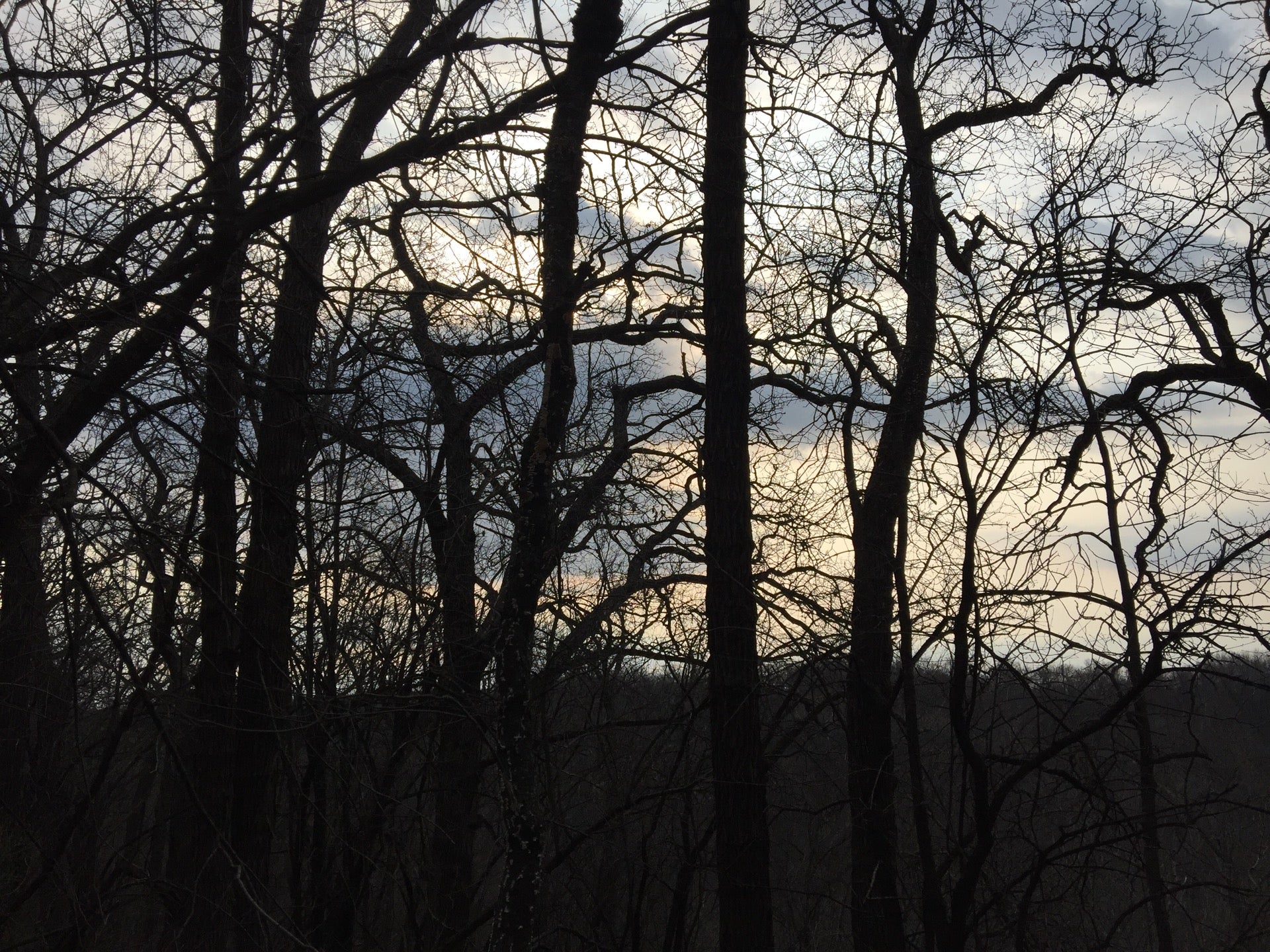 Morton Forest County Park, 5169 Reeve Rd, Mazomanie, WI, Forest MapQuest