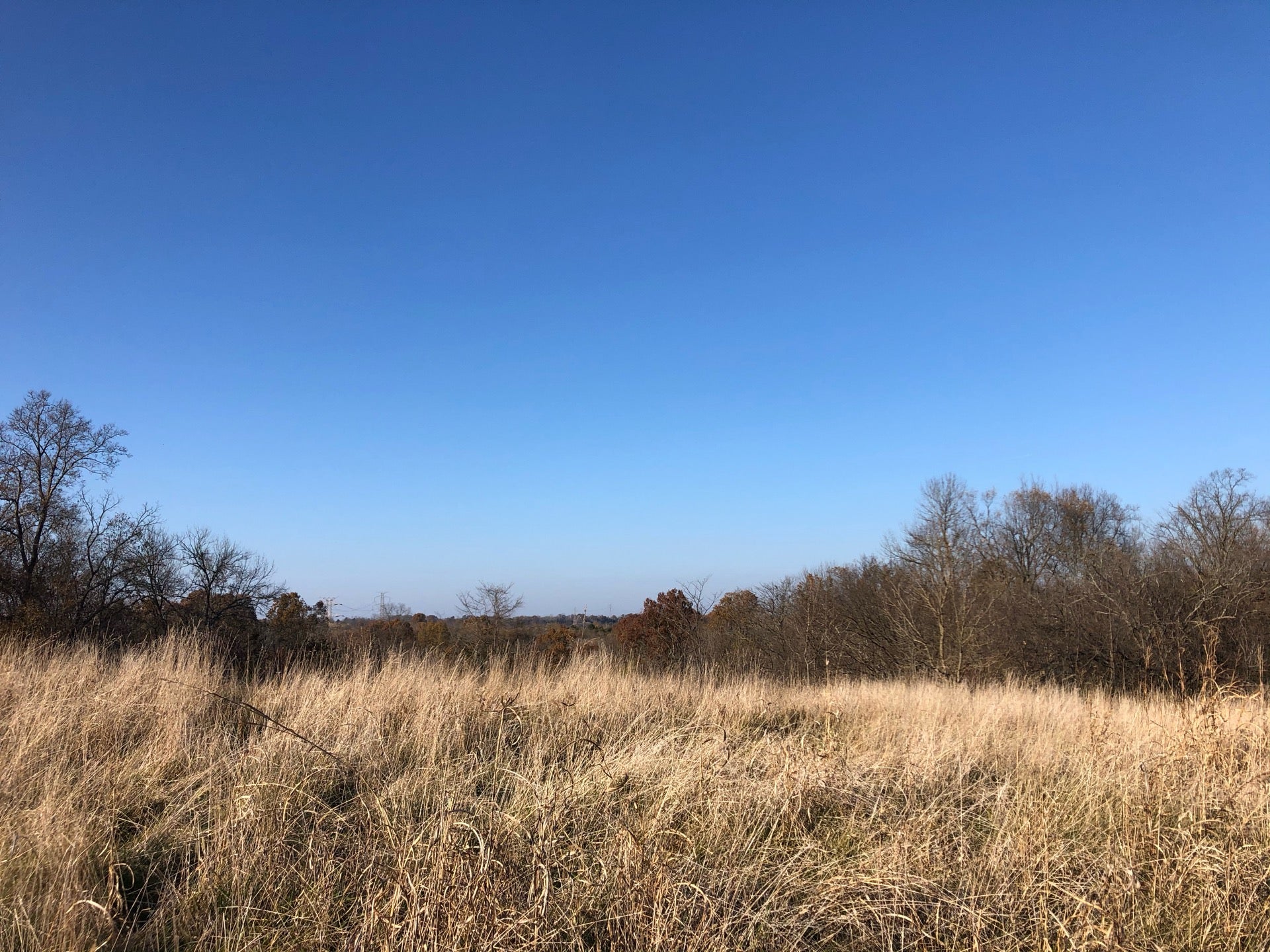 Turkey Run Overlook Trail, Louisville, KY, Trail MapQuest