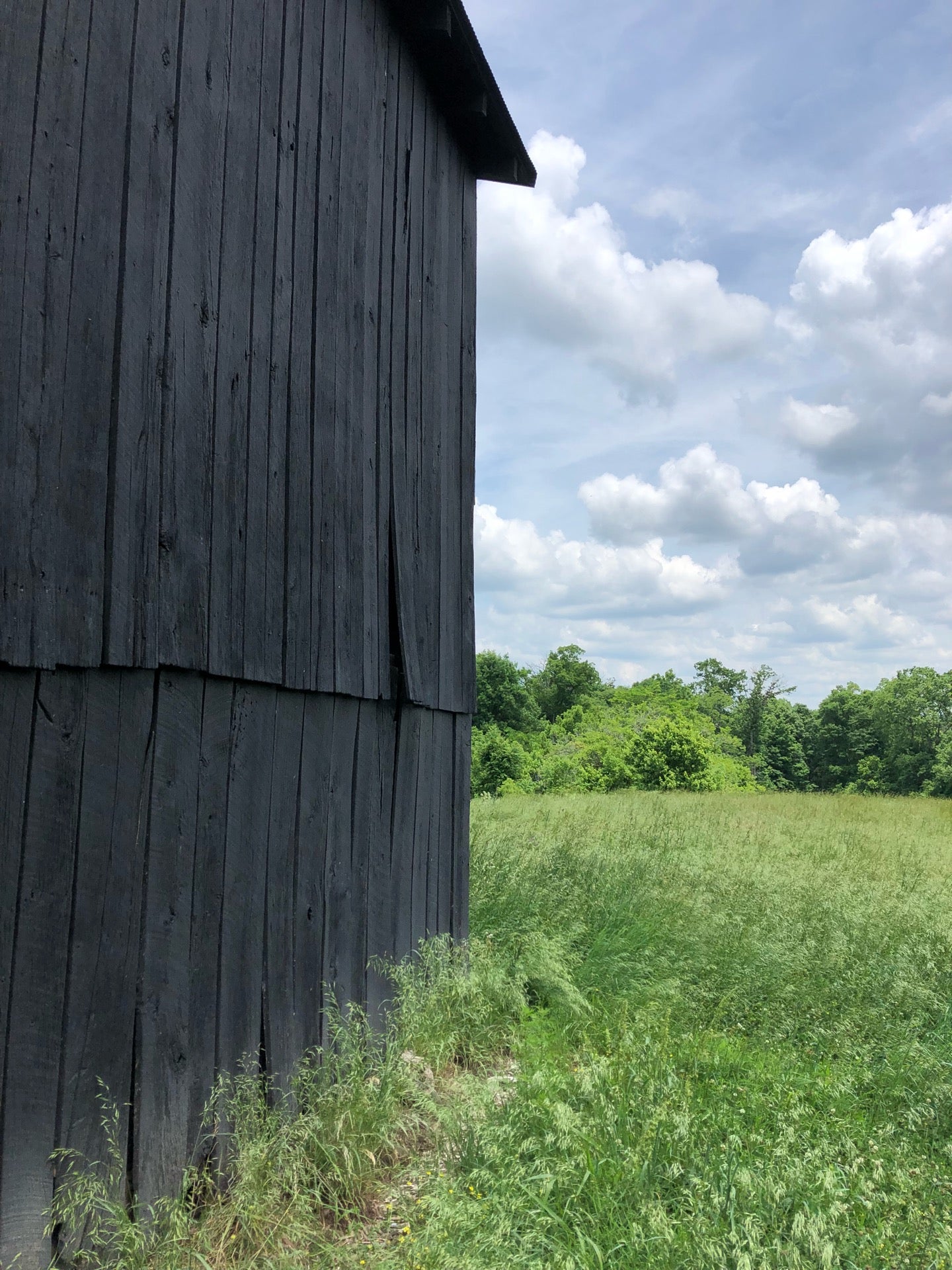 Turkey Run Overlook Trail, Louisville, KY, Trail MapQuest