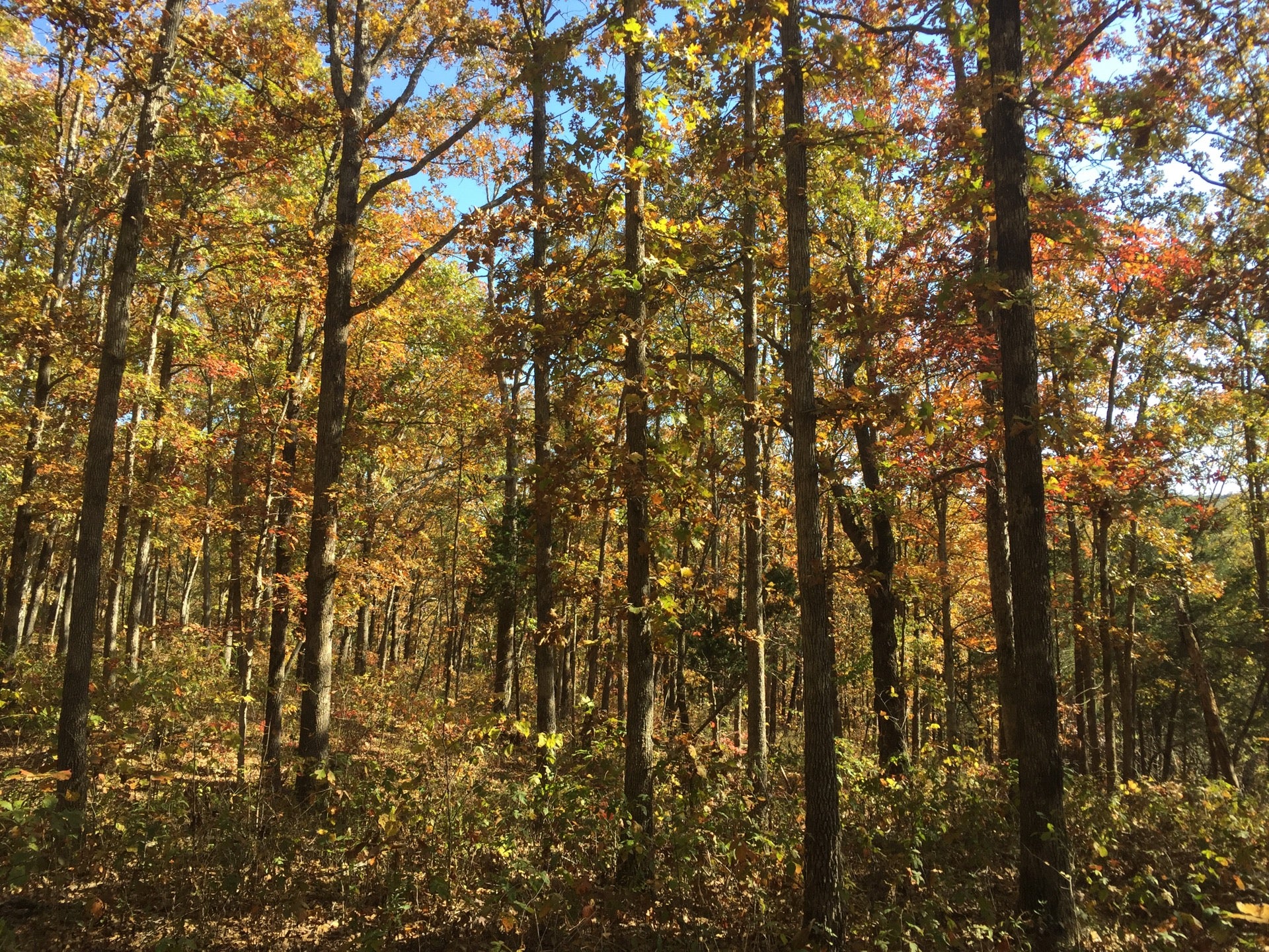 Milltown, IN Map & Directions MapQuest