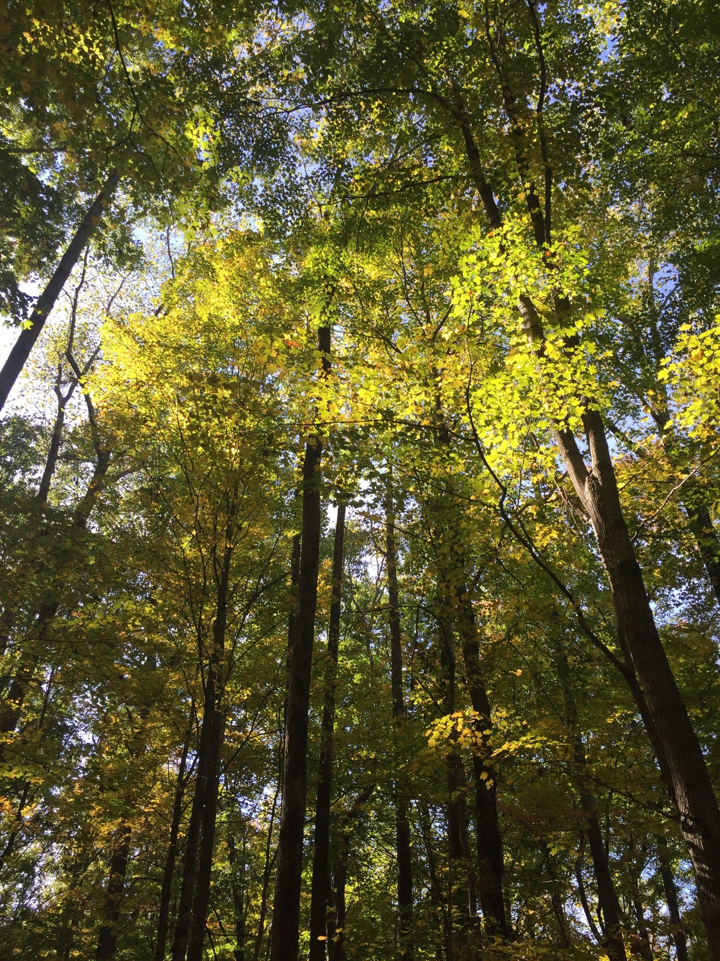 Medora, IN Map & Directions MapQuest
