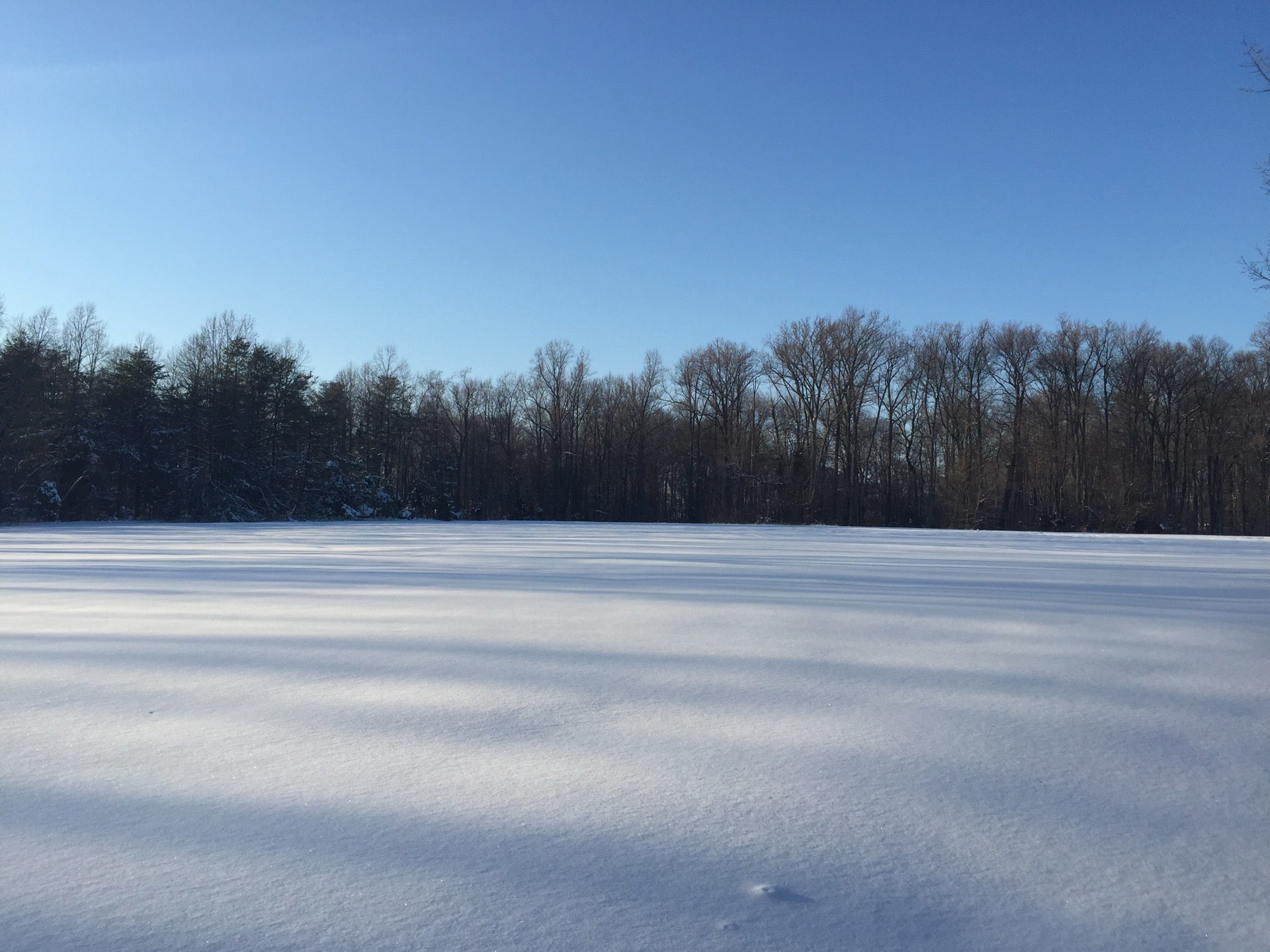 IN Map & Directions MapQuest