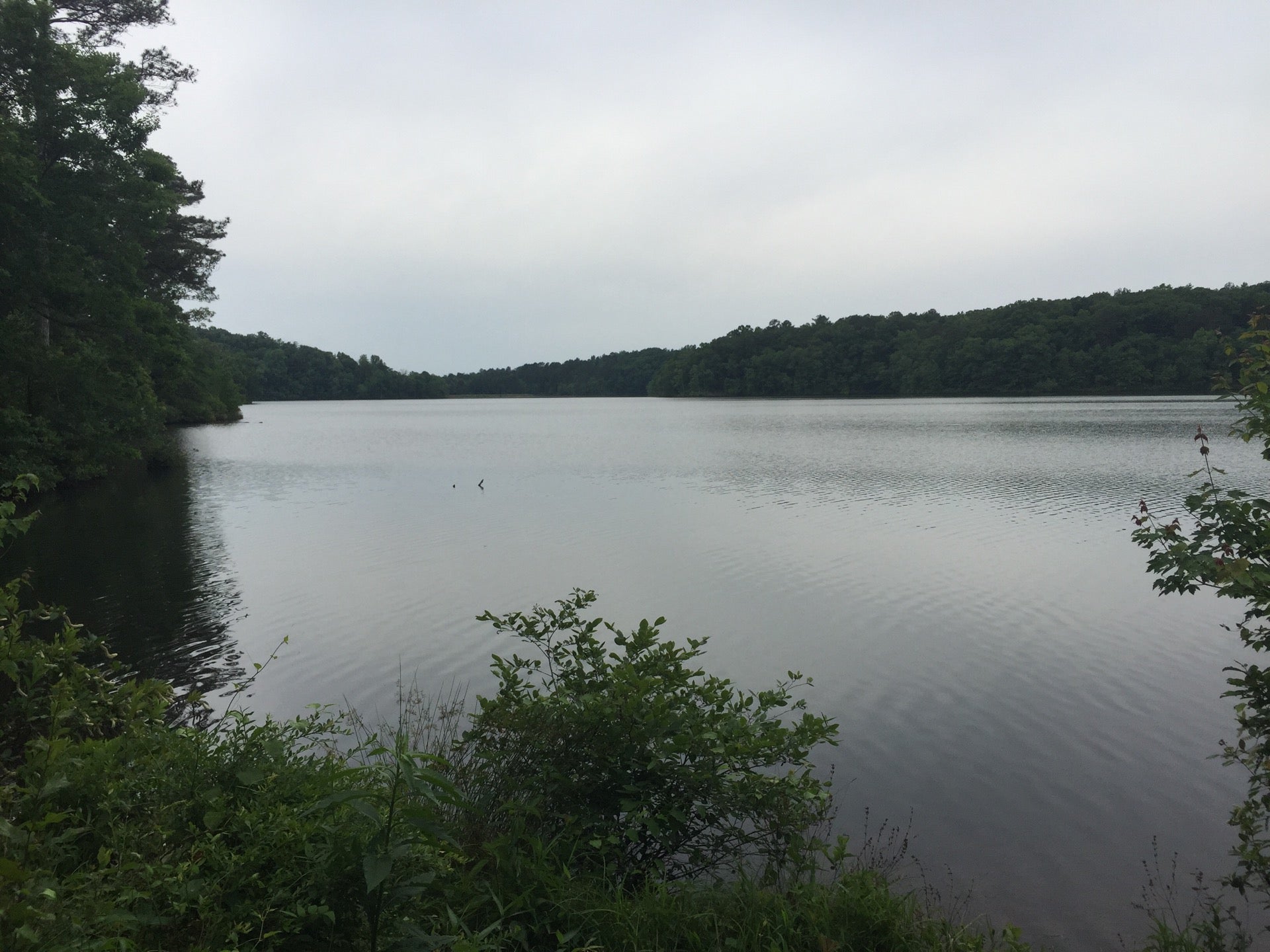 Buhl, AL Map & Directions MapQuest