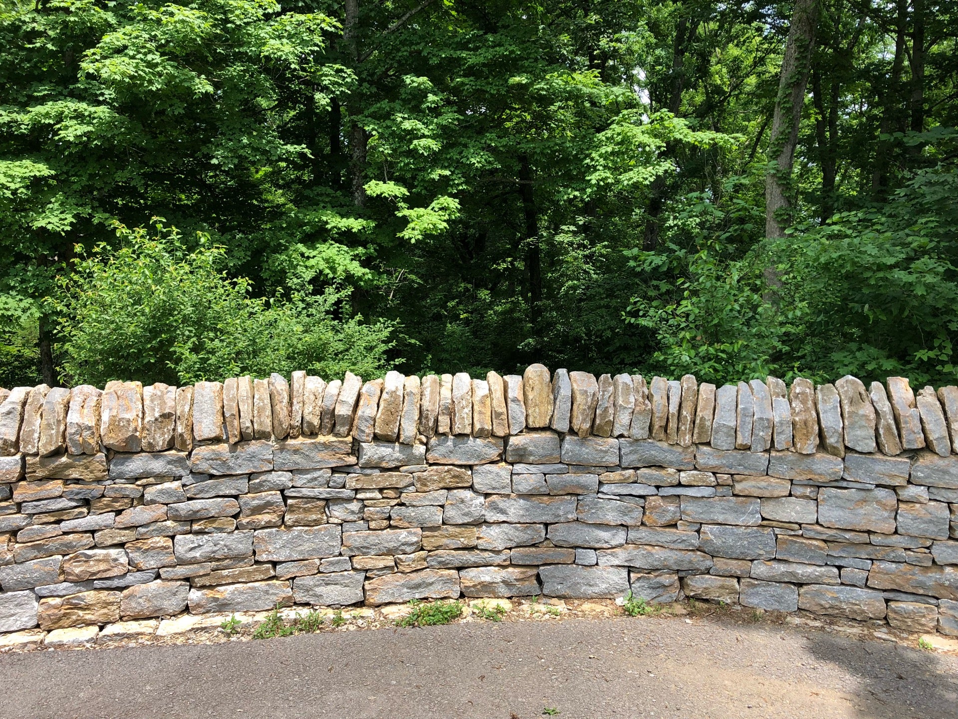 Turkey Run Overlook Trail, Louisville, KY, Trail - MapQuest