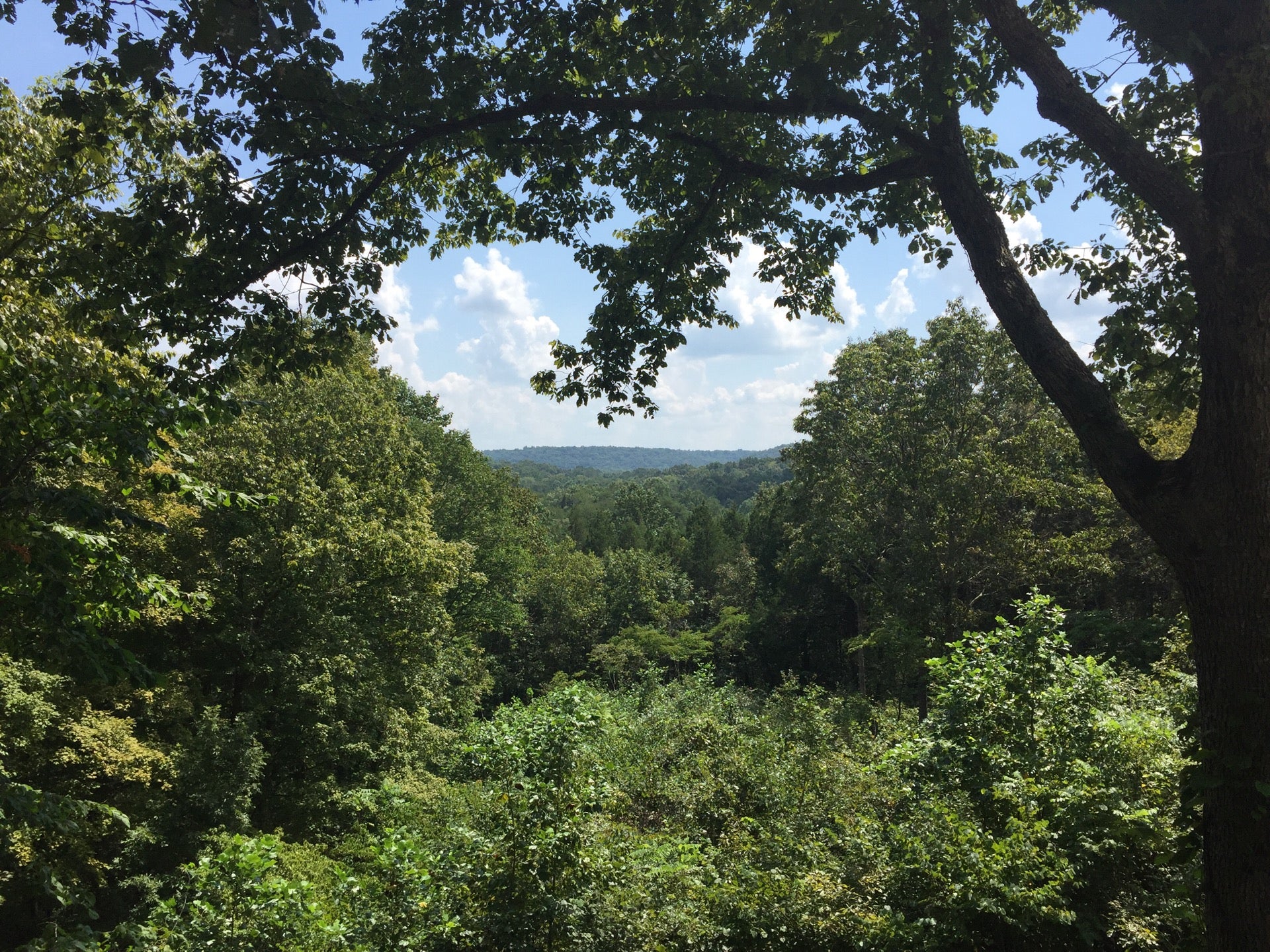 Brownsville, KY Map & Directions MapQuest