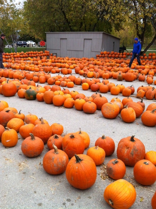 Lindner Pumpkin Farm, 19075 W Cleveland Ave, New Berlin, WI, Farms