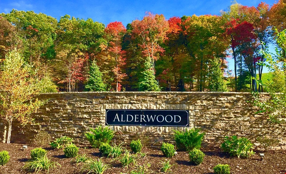 Alderwood Dan Ryan Builders, 103 Alder DR, Wexford, PA, Real Estate
