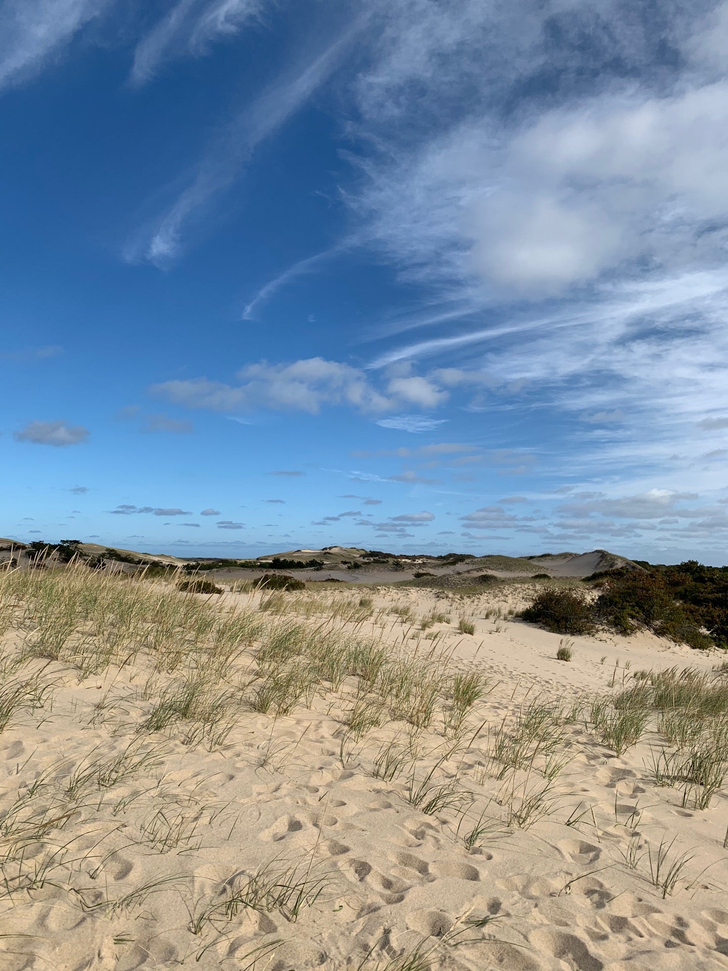 Dune Shacks Trail, Provincetown, MA, Trail MapQuest