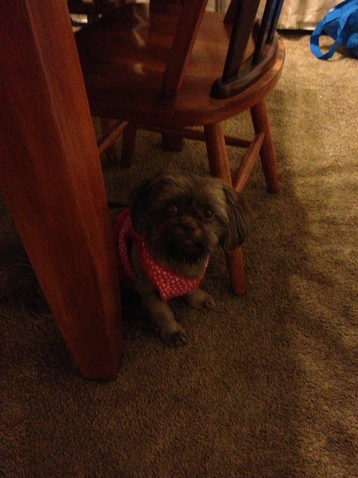 Crossview Courts, 2929 Crossview Dr, Houston, TX, Real Estate MapQuest