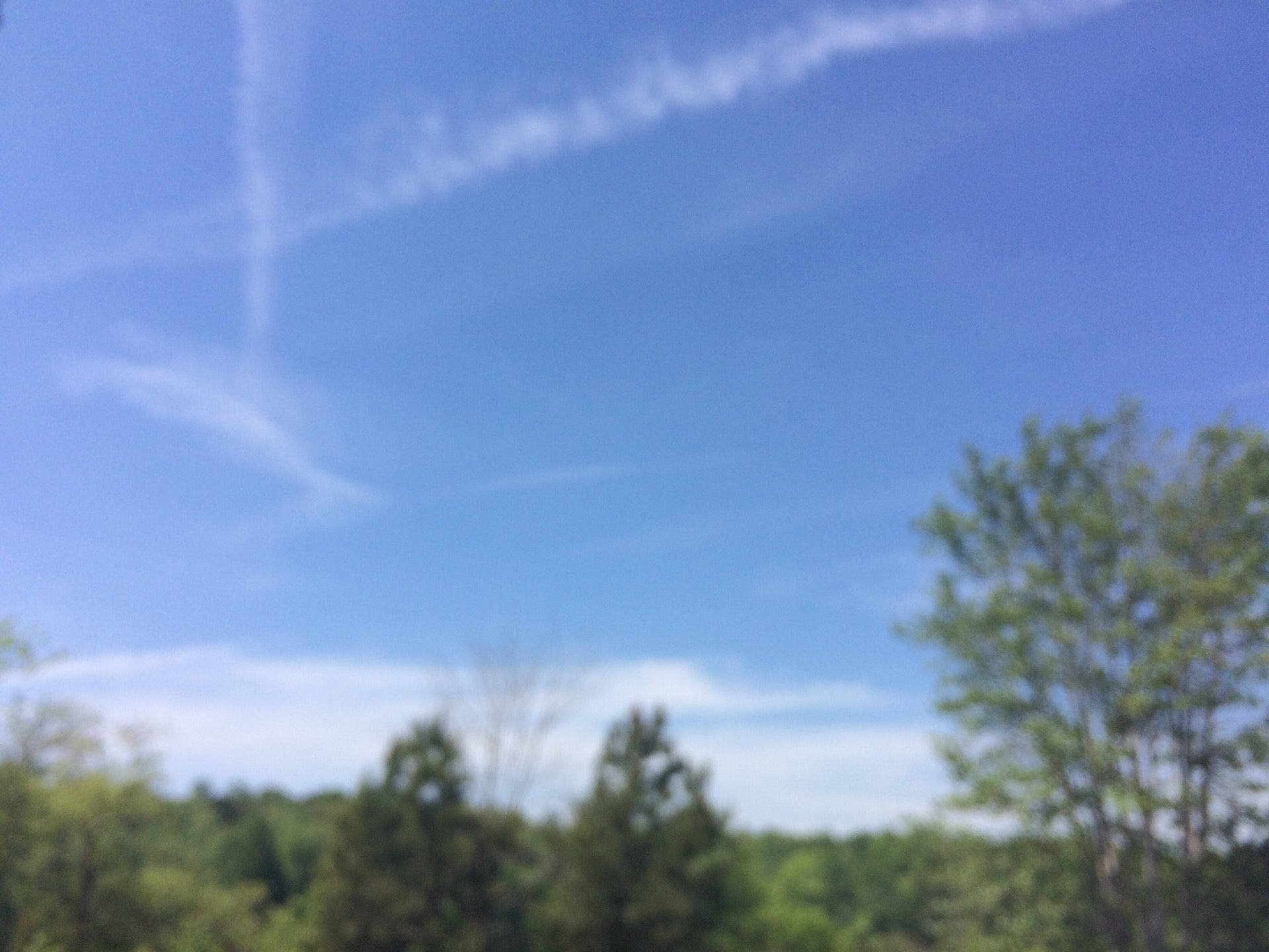 Lake Brandt Greenway, Summerfield, NC MapQuest