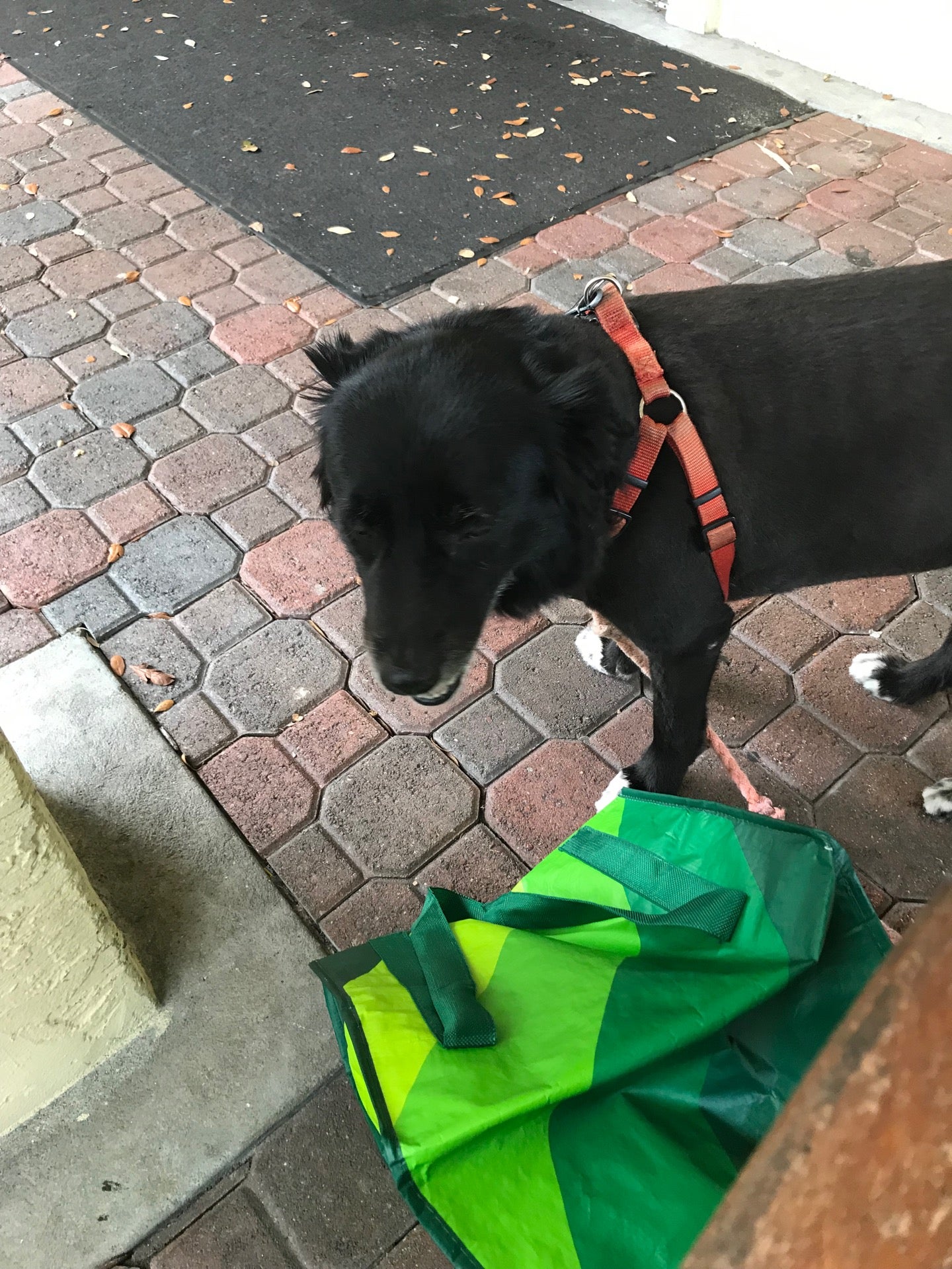 Consulate Health Care of Brandon, 701 Victoria St, Brandon, FL