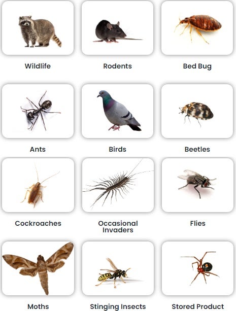 Integral Pest Services Inc