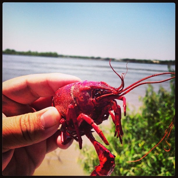 Westwego, LA Map & Directions MapQuest