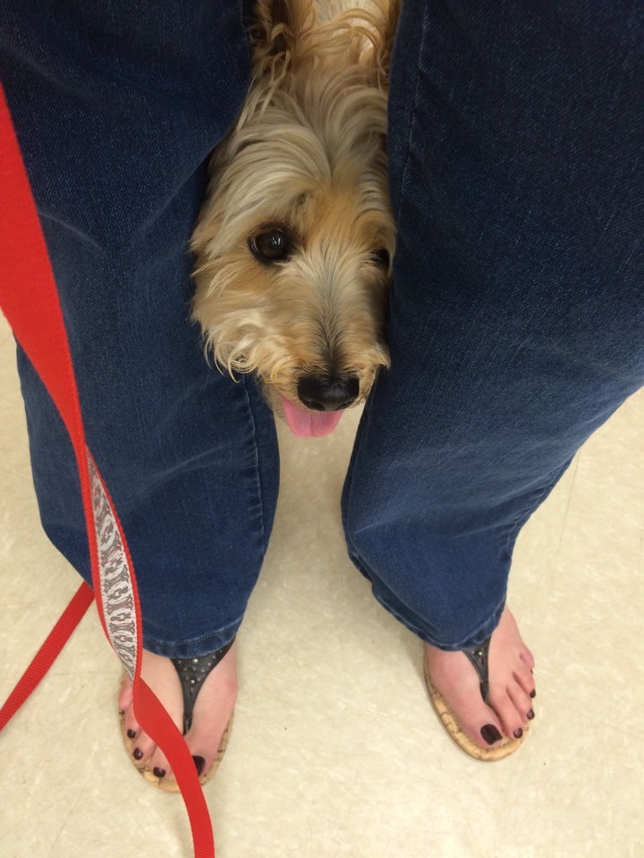 PetSmart, 310 E Brannon Rd, Nicholasville, KY, Pet Supplies MapQuest