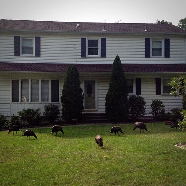 The Leffell SchoolUpper Campus, 555 W Hartsdale Ave, Hartsdale, NY