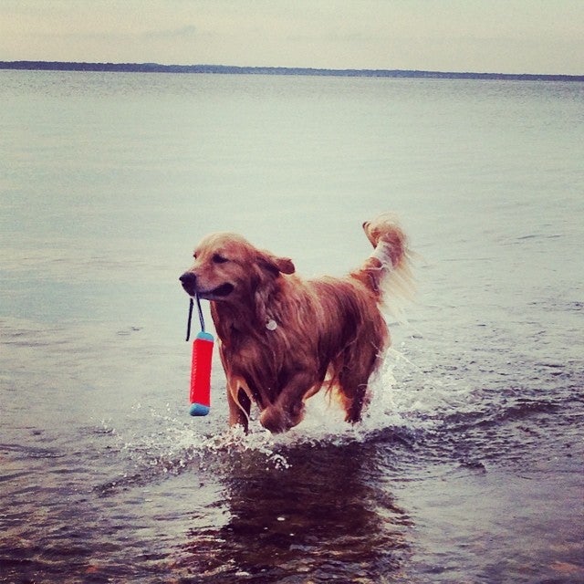 East Landing Beach, Hampton Bays, NY MapQuest