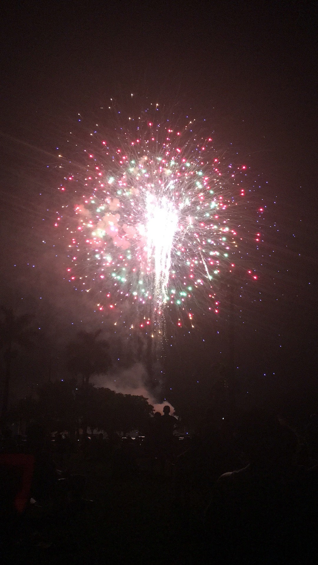 Mullins Park, 10000 NW 29th St, Coral Springs, FL, Swimming Pools