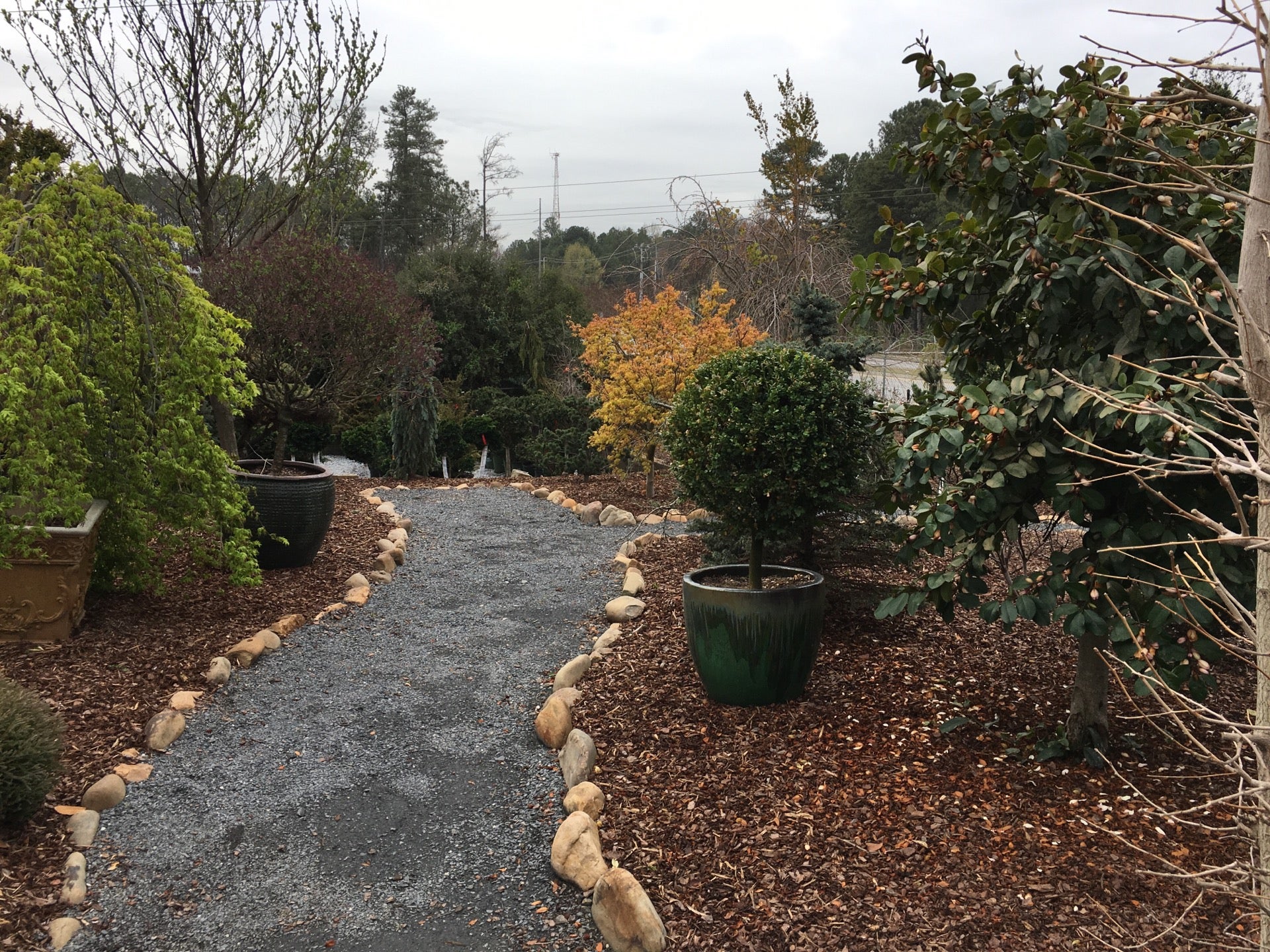 Topiary Courtyard wholesale nursery, Norcross, GA, Gardens MapQuest