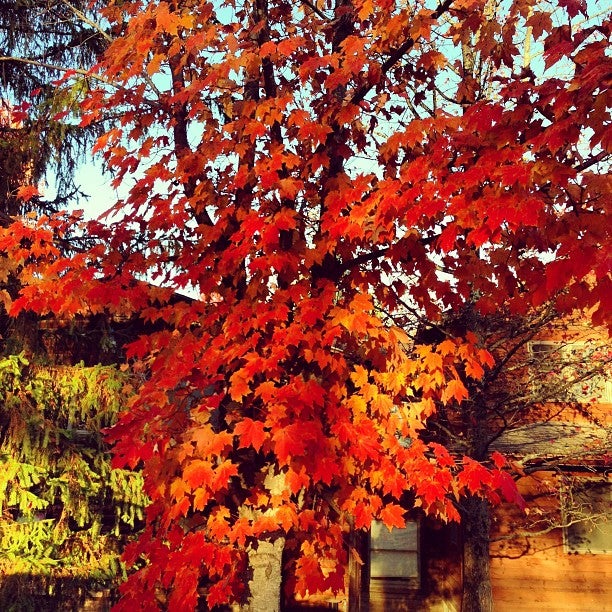 Lansing, WV Map & Directions MapQuest