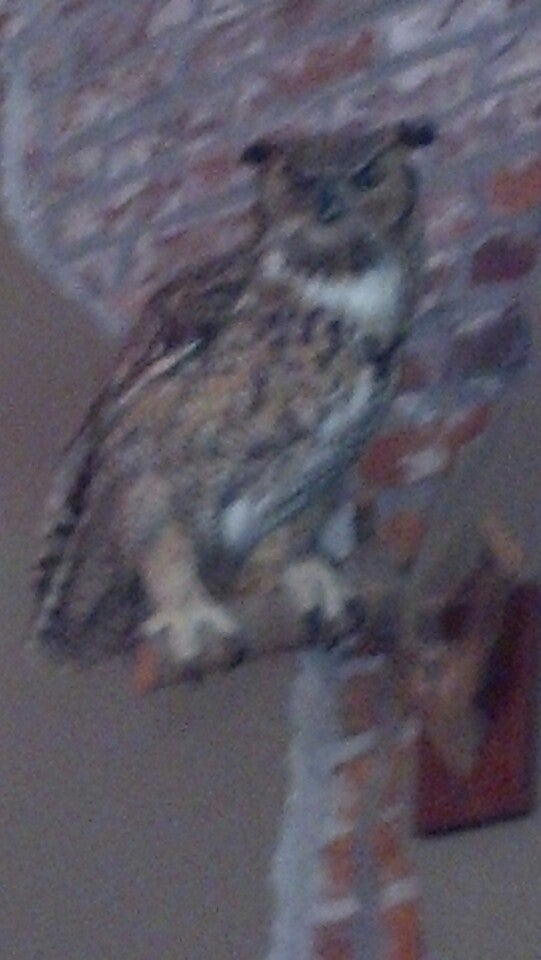 Panora, IA Map & Directions MapQuest