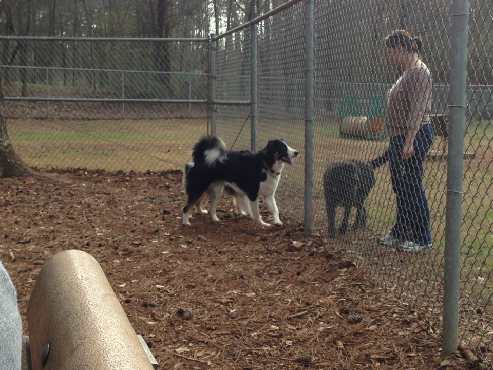 Ronald Regan Park Dog Park, Lawrenceville, GA MapQuest