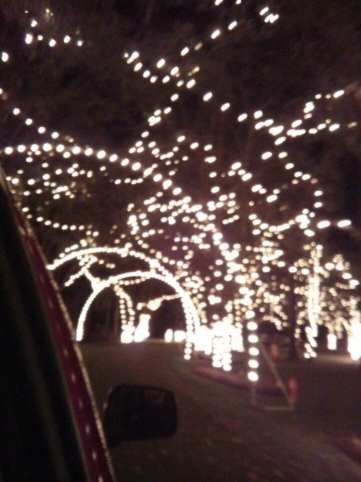 Flowers Bakery Christmas Lights Thomasville Ga Best Flower Site