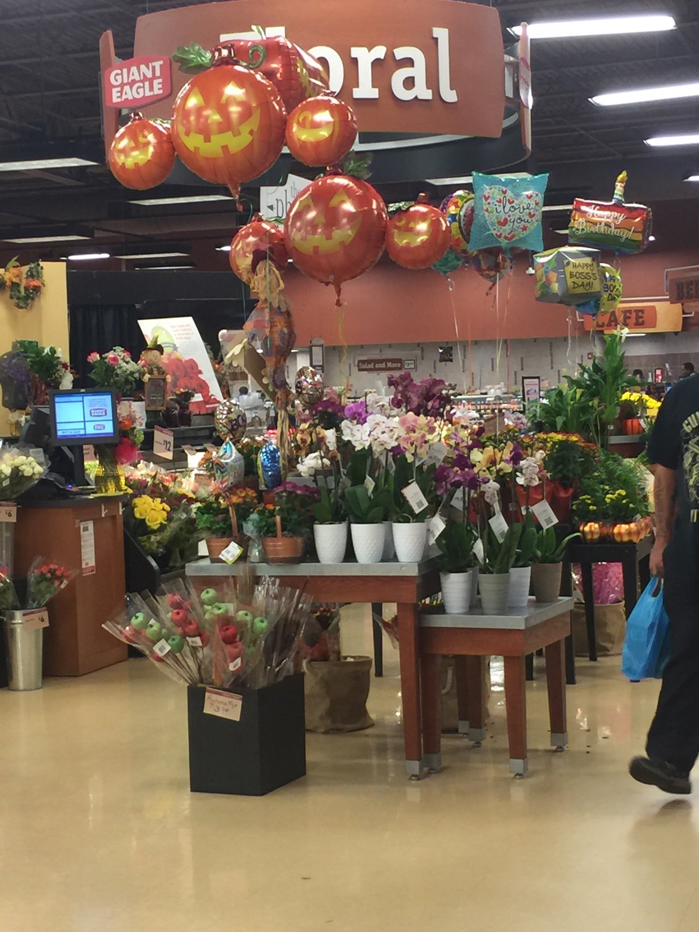 Giant Eagle Flowers | Best Flower Site