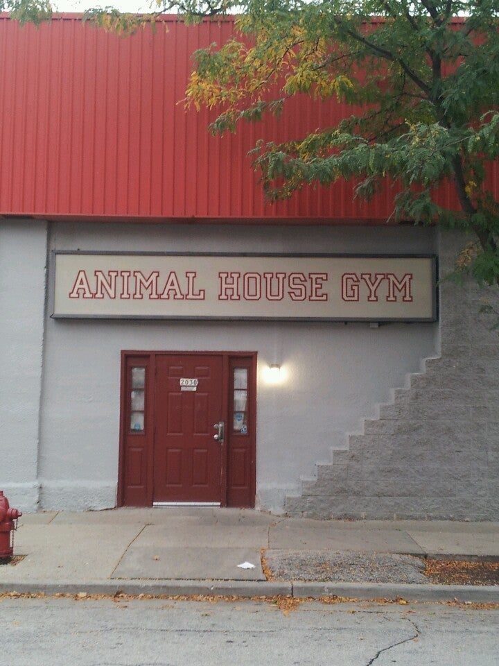 Top 139+ Animal house gym