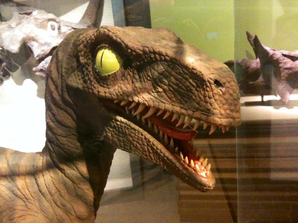 Raymon M Alf Museum of Paleontology, 1175 W Baseline Rd, Claremont, CA ...