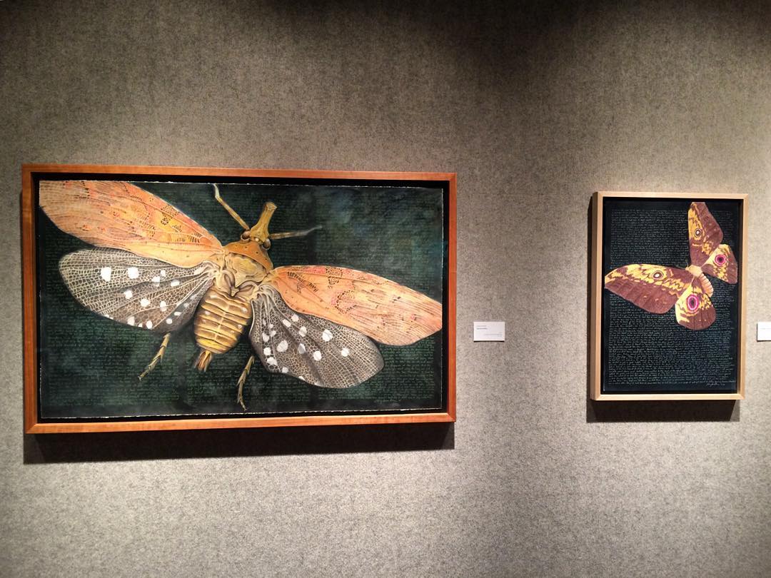 Mart, TX Map & Directions MapQuest