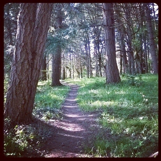 Witham Hill Natural Area