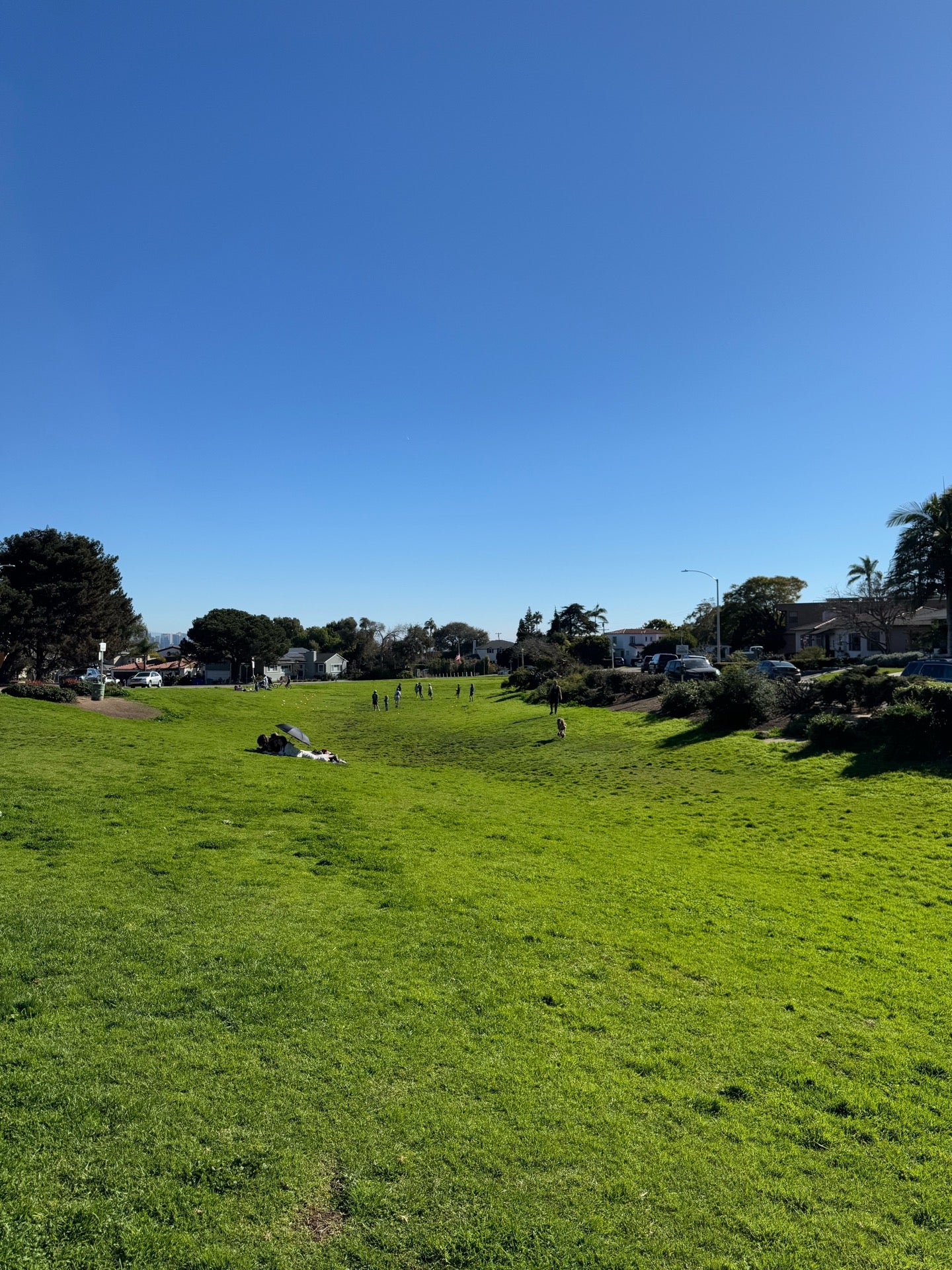 Plumosa Park