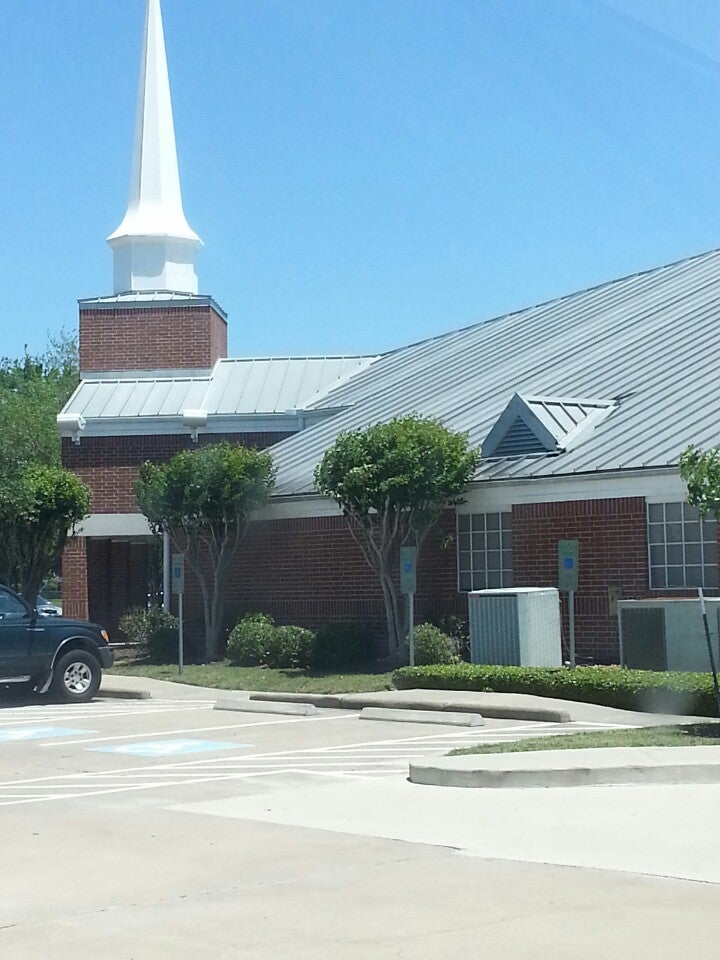 Little Lambs Cypress MeaningKosh