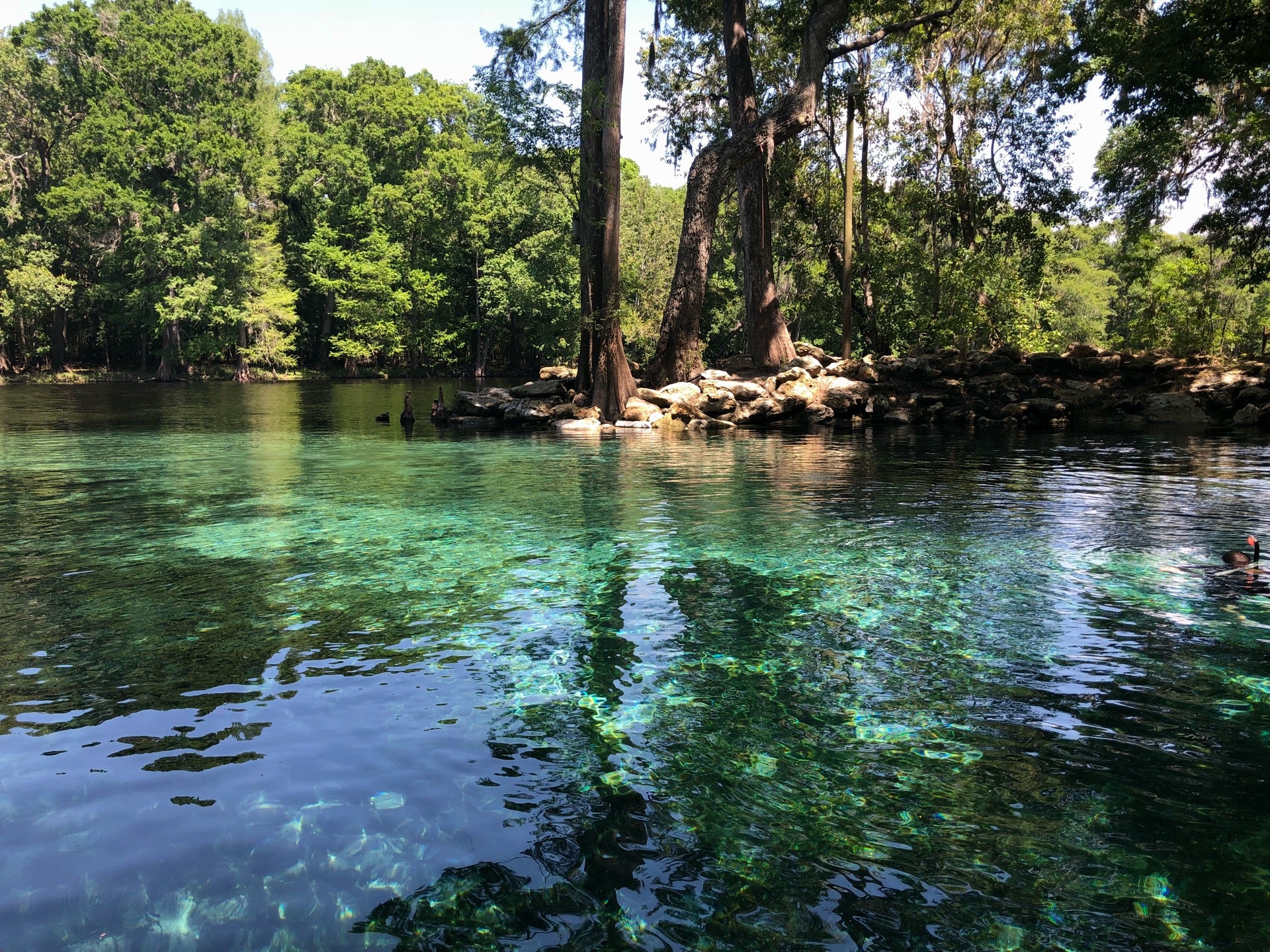 Ginnie Springs Outdoors Campground Site 79, 5000 NE 60th Ave, High
