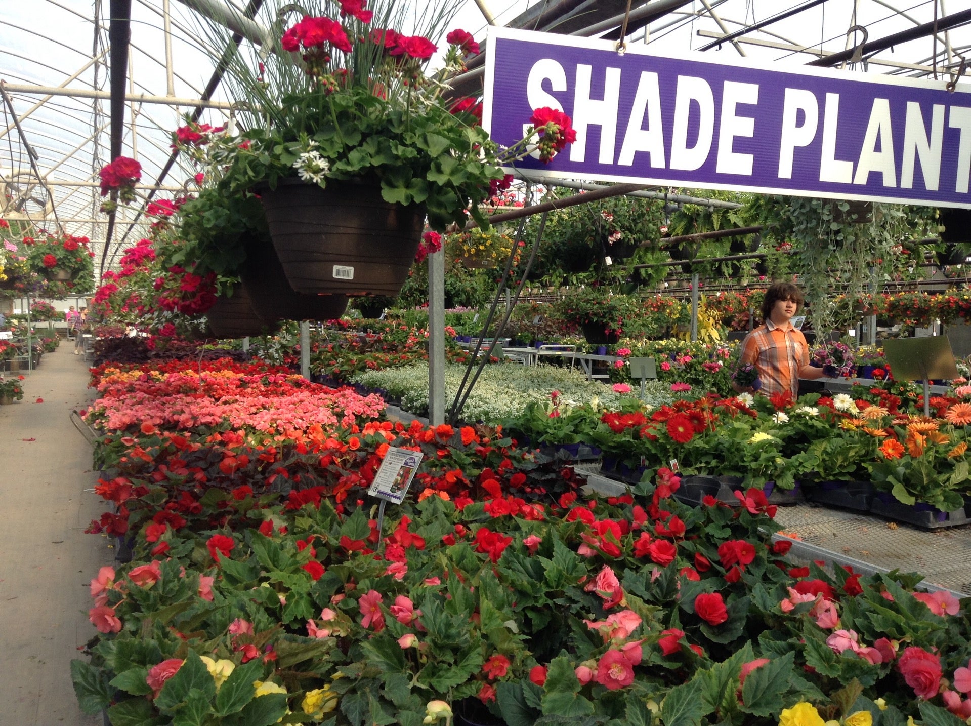 Anna S Flowers Kingsville Best Flower Site